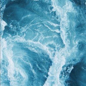 Meet your Posher, Lily